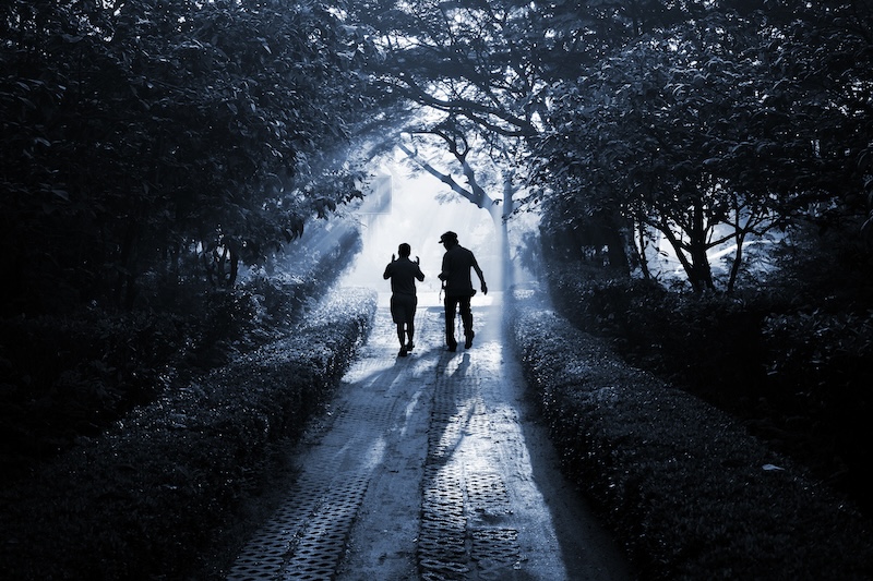 Two people in animated conversation walking along a shaded path