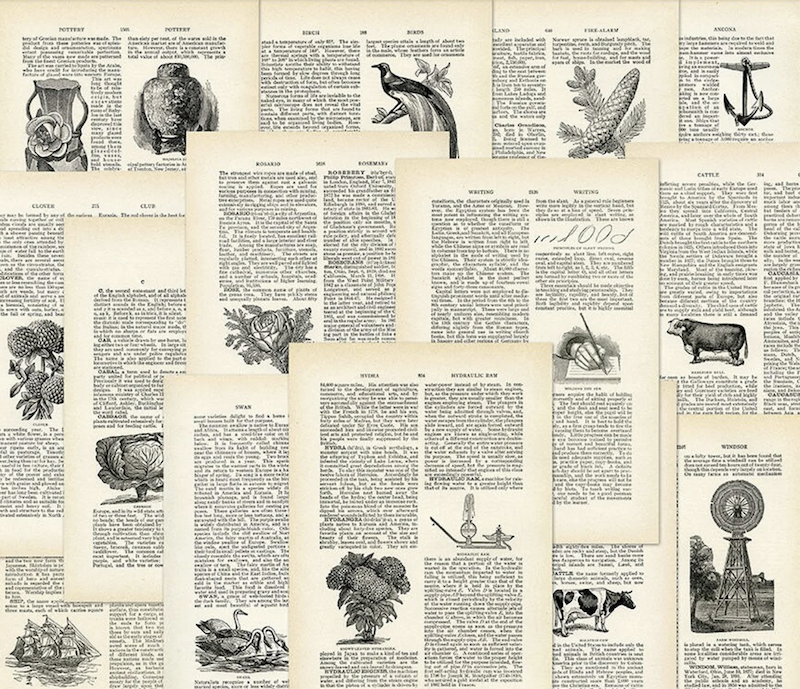 Random sepia-hued pages from old encyclopedias